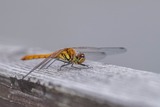 DSCF0086