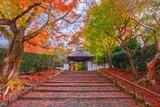 秋の京都(19)
