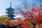 秋の京都(5)