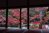 秋の京都(14)