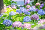 DSCF0058-2