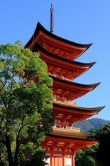 DSCF5225