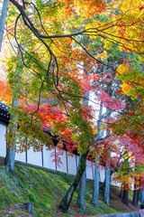 DSCF0011