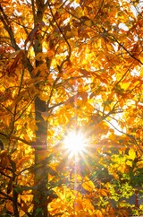 DSCF0769