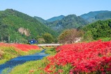 2021年彼岸(2)