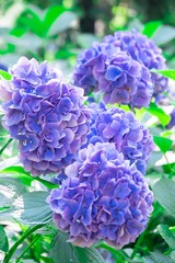 DSCF0044