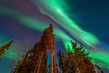 DSCF1716