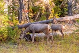 DSCF0274