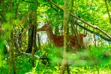 DSCF0004