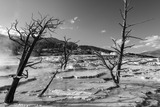 DSCF0047(1)