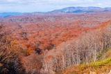 DSCF0209-2