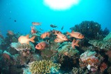 DSC00096