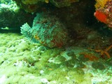 P1020022