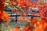 秋の京都(22)