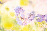 山の手さくらまつり(2)