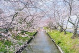 DSCF0006-2