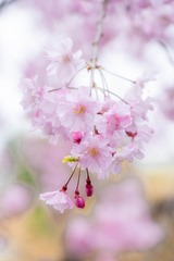 DSCF0149
