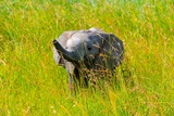 DSCF1677