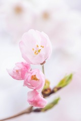 DSCF0004