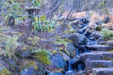 DSCF0004