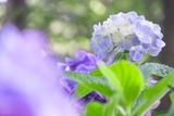 DSCF0054-2