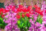 DSCF0292