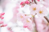 DSCF0014-2