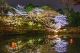 DSCF2526