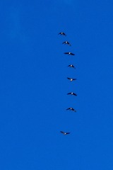 DSCF1213
