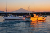DSCF0073