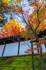 DSCF0016