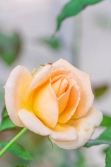 DSCF0030