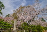 DSCF0426