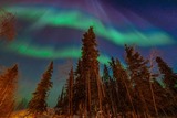DSCF1706