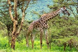 DSCF0054