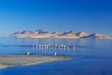 DSCF1341