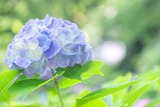 DSCF0056