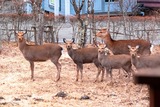 DSCF0687