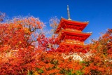 DSCF0212