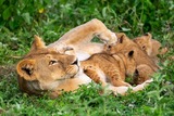 DSCF1218