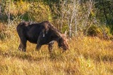 DSCF0293