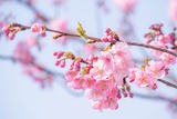 DSCF0968