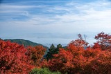 秋の比叡山延暦寺(21)