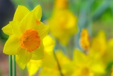 DSCF0294