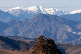 DSCF0207