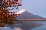 DSCF0722