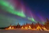 DSCF1686