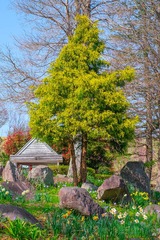 DSCF0295