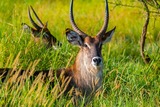 DSCF0164