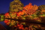DSCF0220